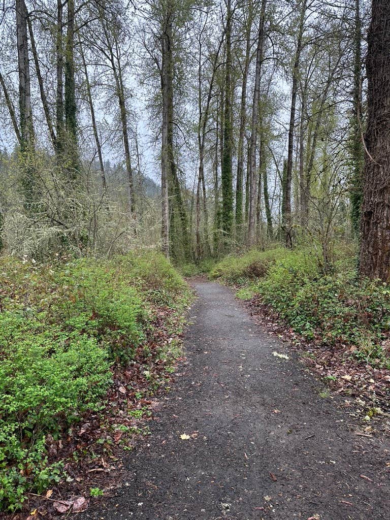 Camper submitted image from Gills Landing RV Park - 2