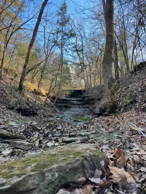 Camper-submitted photo at Wilderness Adventure RV and Cabin park near Proctor, OK