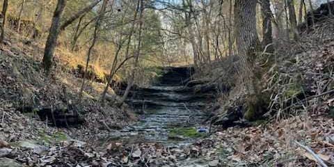 Camper submitted image from Wilderness Adventure RV and Cabin park