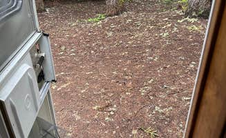 Kathy B.'s photo of camping with pets at Still Creek near Mt. Hood National Forest