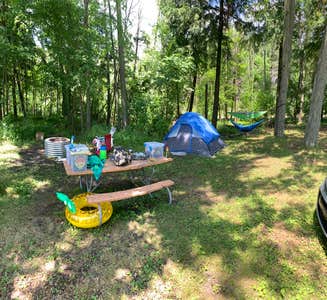 Camper-submitted photo from Houghton Lake State Forest Campground