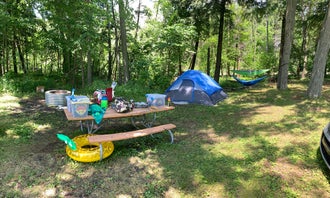 Camping near PaddleBrave Camp and Canoe: Houghton Lake State Forest Campground, Higgins Lake, Michigan