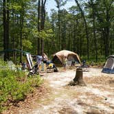 Review photo of Bass River State Forest by Stacey R., July 15, 2019