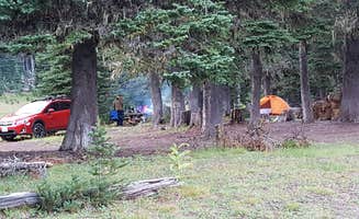 Shay F.'s photo of tent camping at Corral Pass Campground near Greenwater, WA