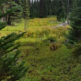 Review photo of Corral Pass Campground by Shay F., July 15, 2019