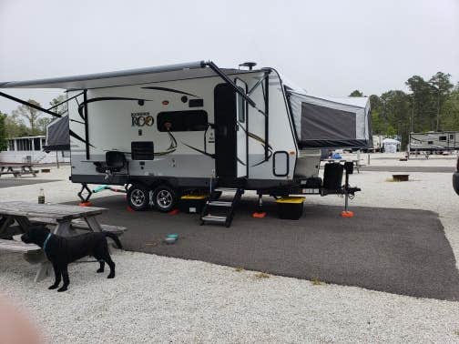 Camper-submitted photo at Driftwood Too near South Dennis, NJ