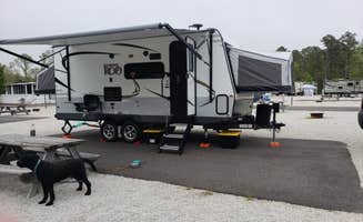 Stacey R.'s photo of camping with pets at Driftwood Too near Beach Haven, NJ