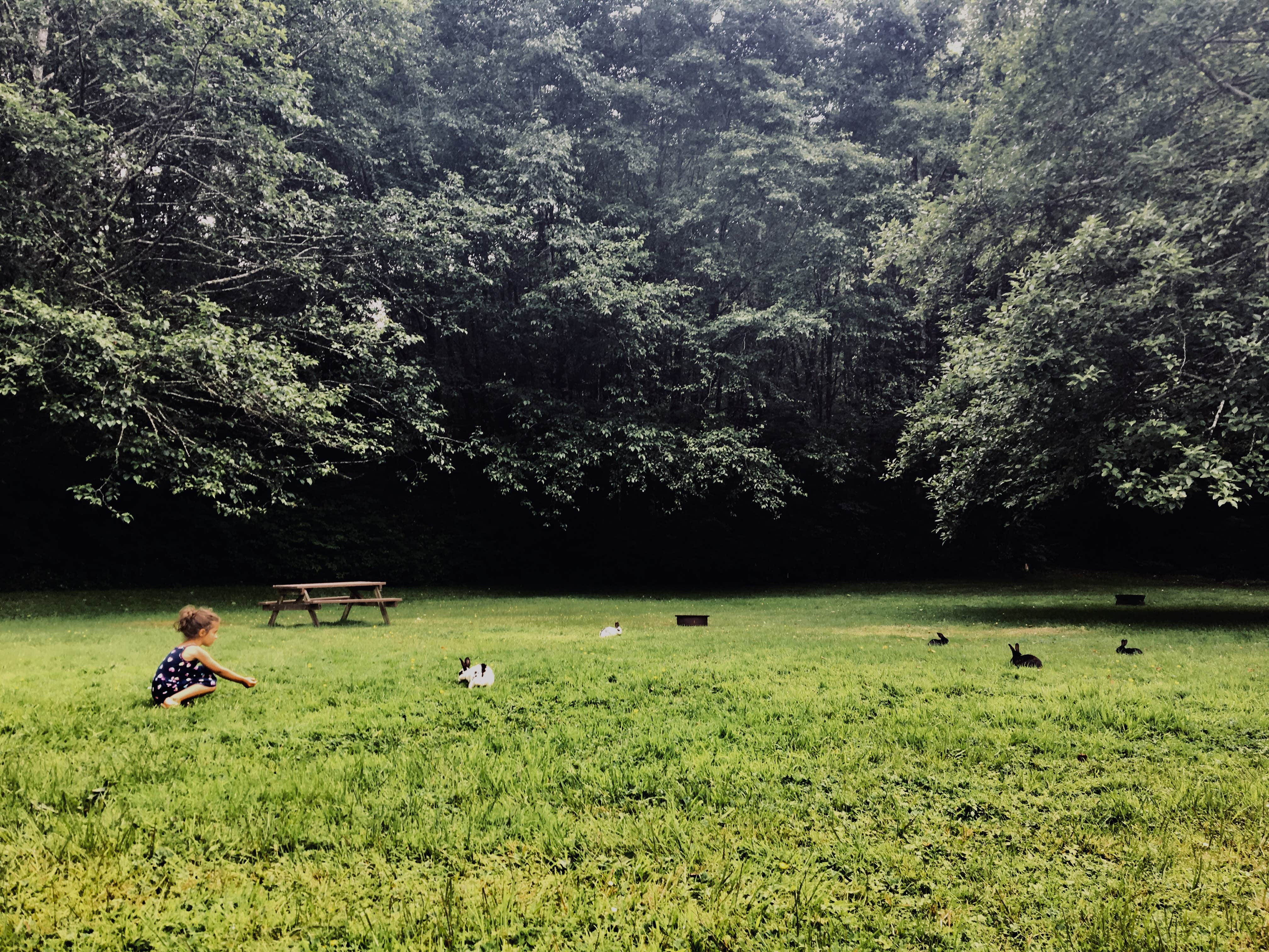Camper-submitted photo at Neskowin Creek RV Resort near Neotsu, OR