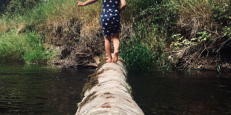 Camper submitted image from Neskowin Creek RV Resort