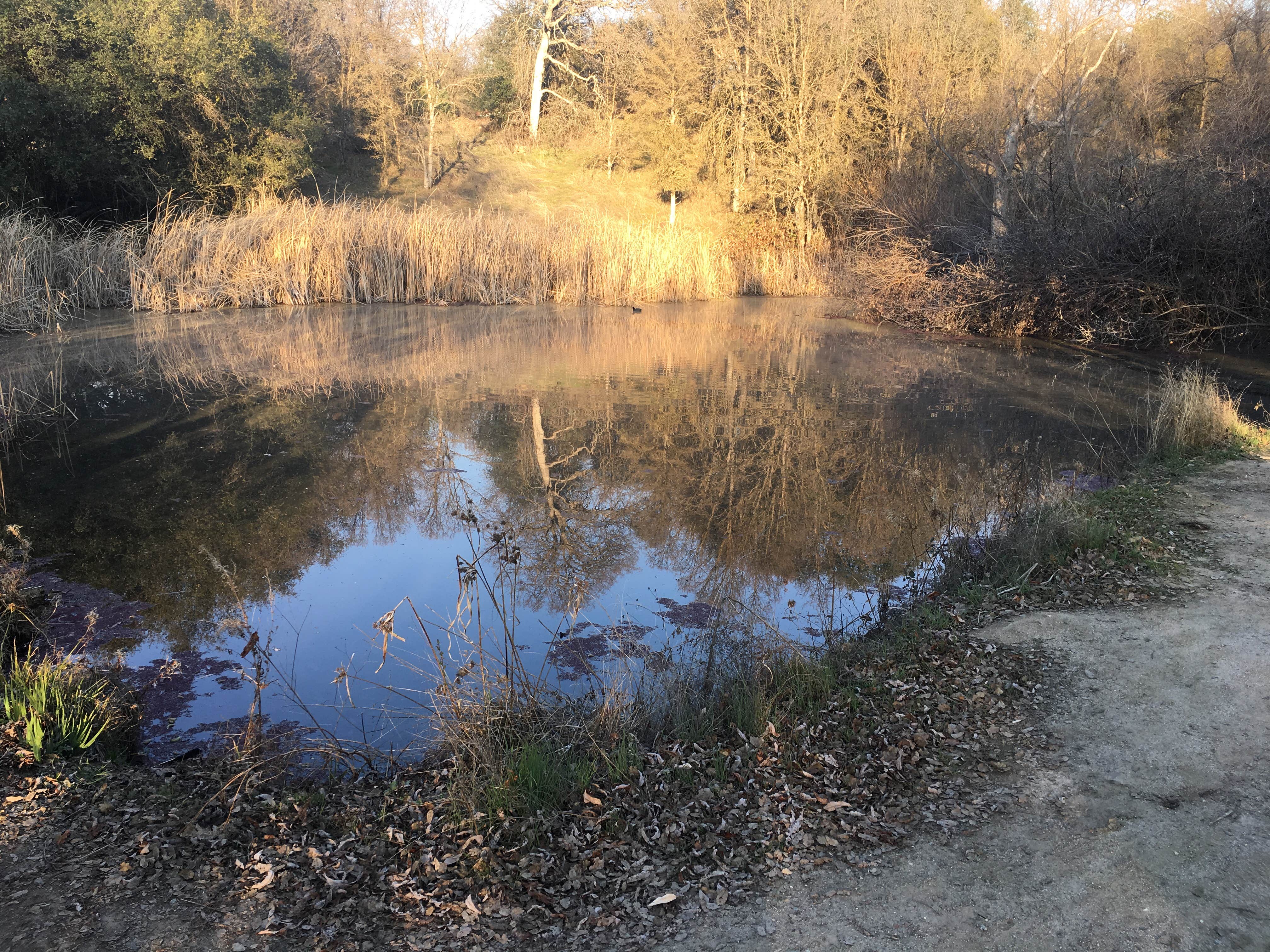 Camper-submitted photo at QuailValley near Sequoia National Forest