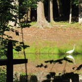 Review photo of Wild Acres Tent & Trailer Park by Tammie M., July 15, 2019
