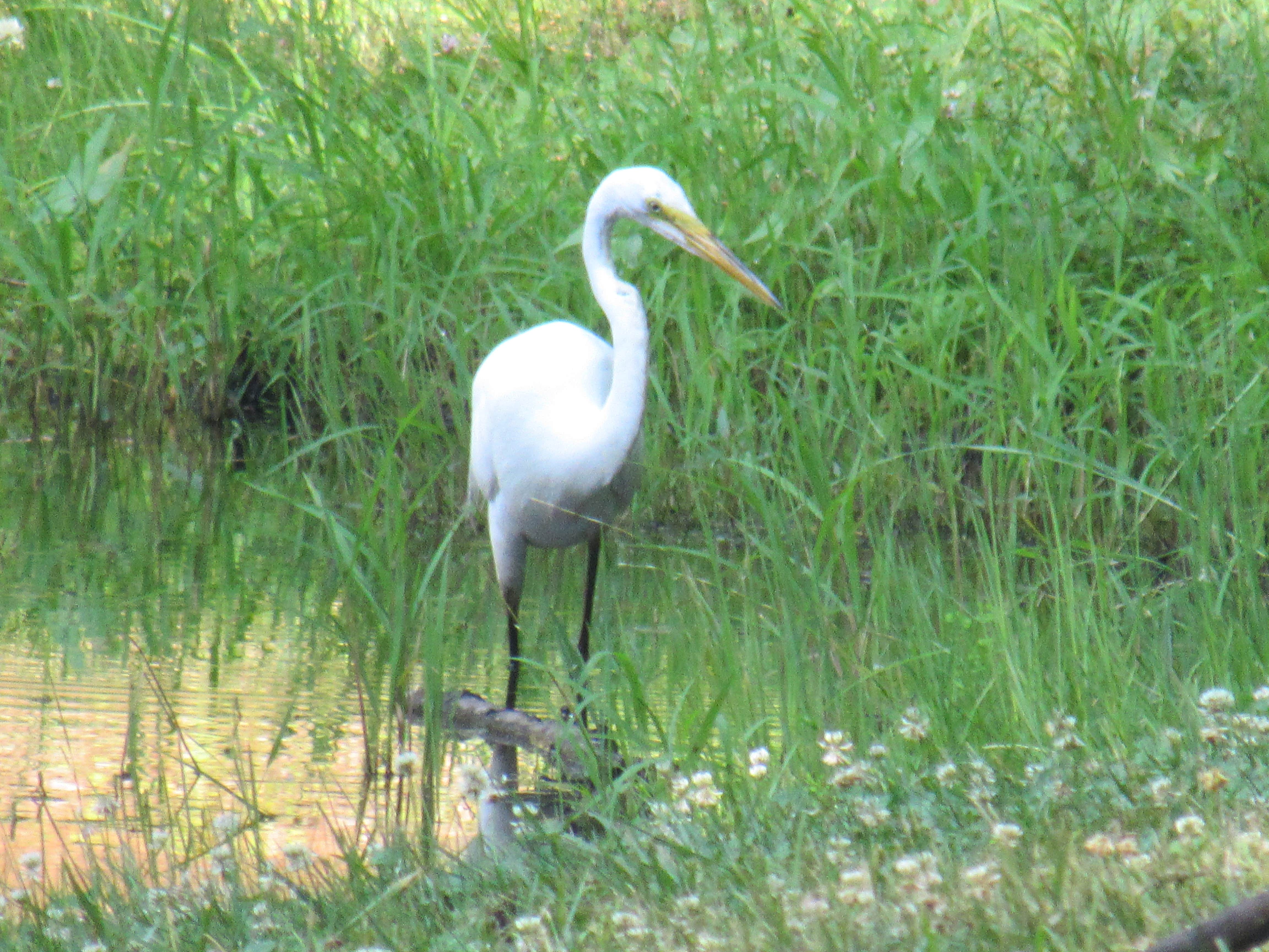 Camper-submitted photo at Wild Acres Tent & Trailer Park near Cape Porpoise, ME