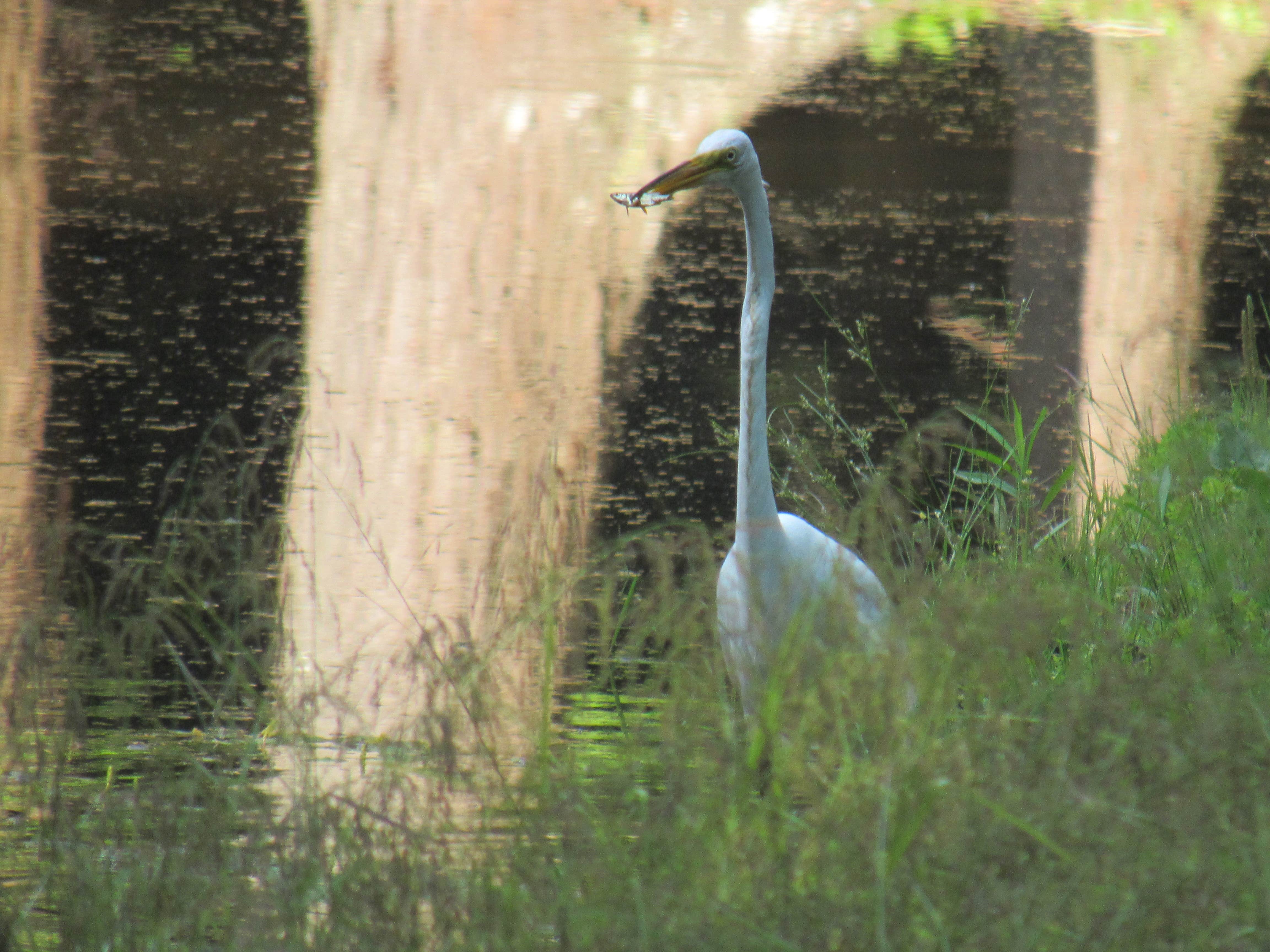 Camper-submitted photo at Wild Acres Tent & Trailer Park near Cape Porpoise, ME