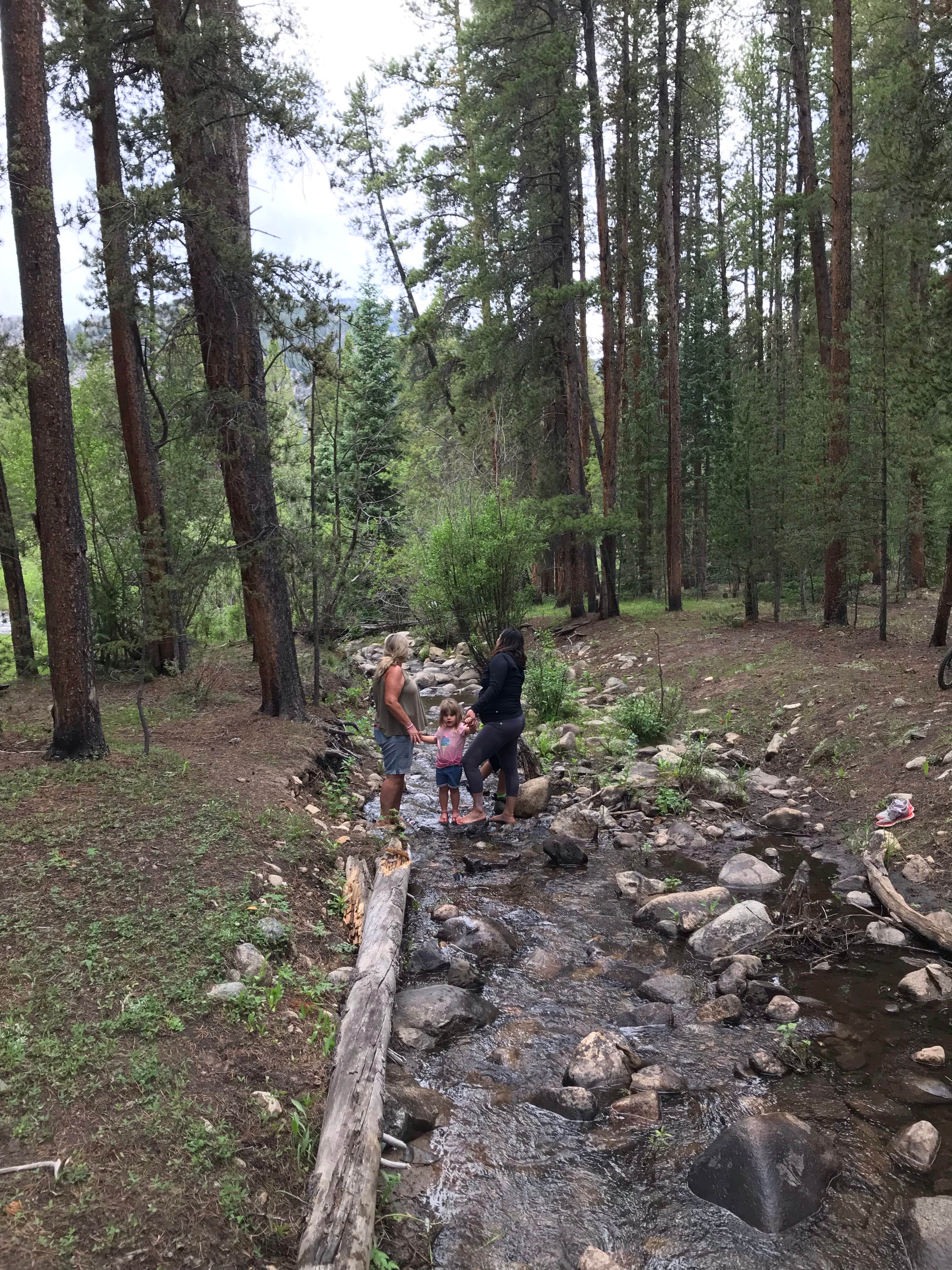 Camper submitted image from Lottis Creek Campground - 3