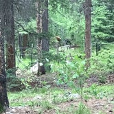 Review photo of Lottis Creek Campground by Justin G., July 15, 2019