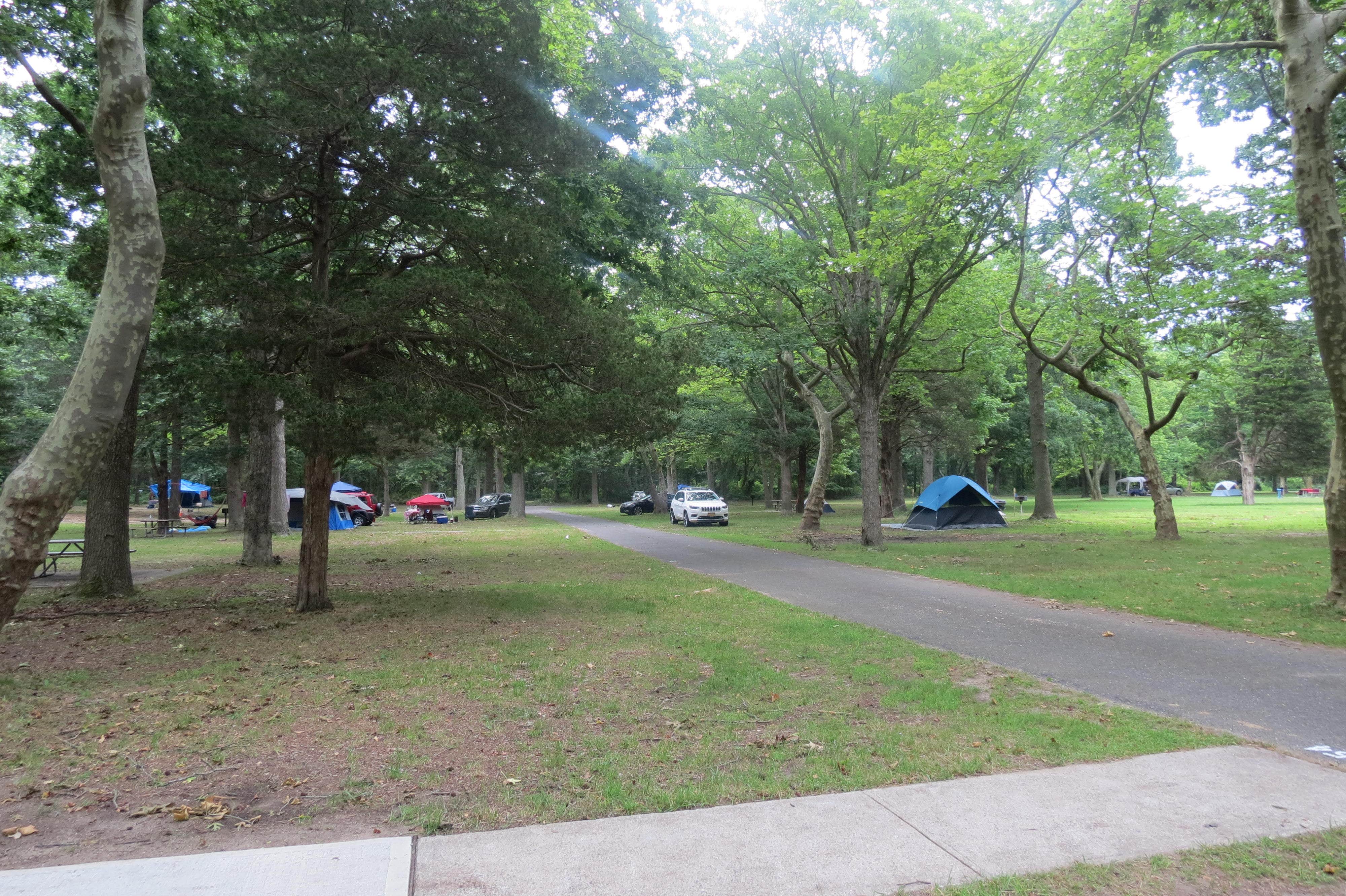 Ellen C.'s photo at Heckscher State Park Campground near Westhampton Beach, NY