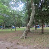 Review photo of Heckscher State Park Campground by Ellen C., July 15, 2019