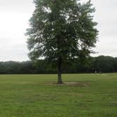 Review photo of Heckscher State Park Campground by Ellen C., July 15, 2019