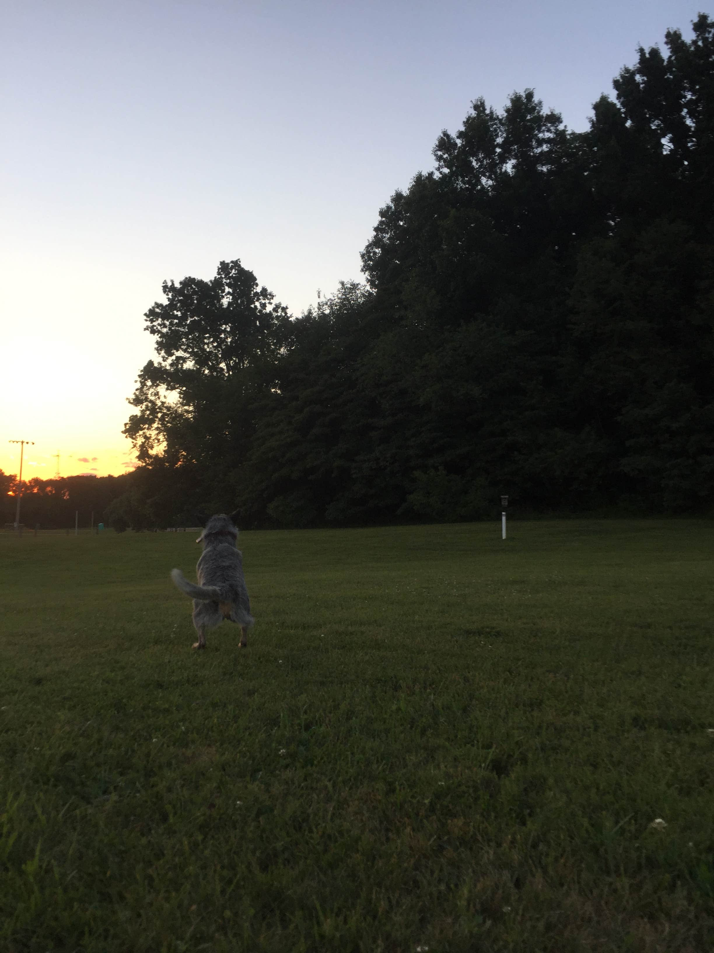 Activities