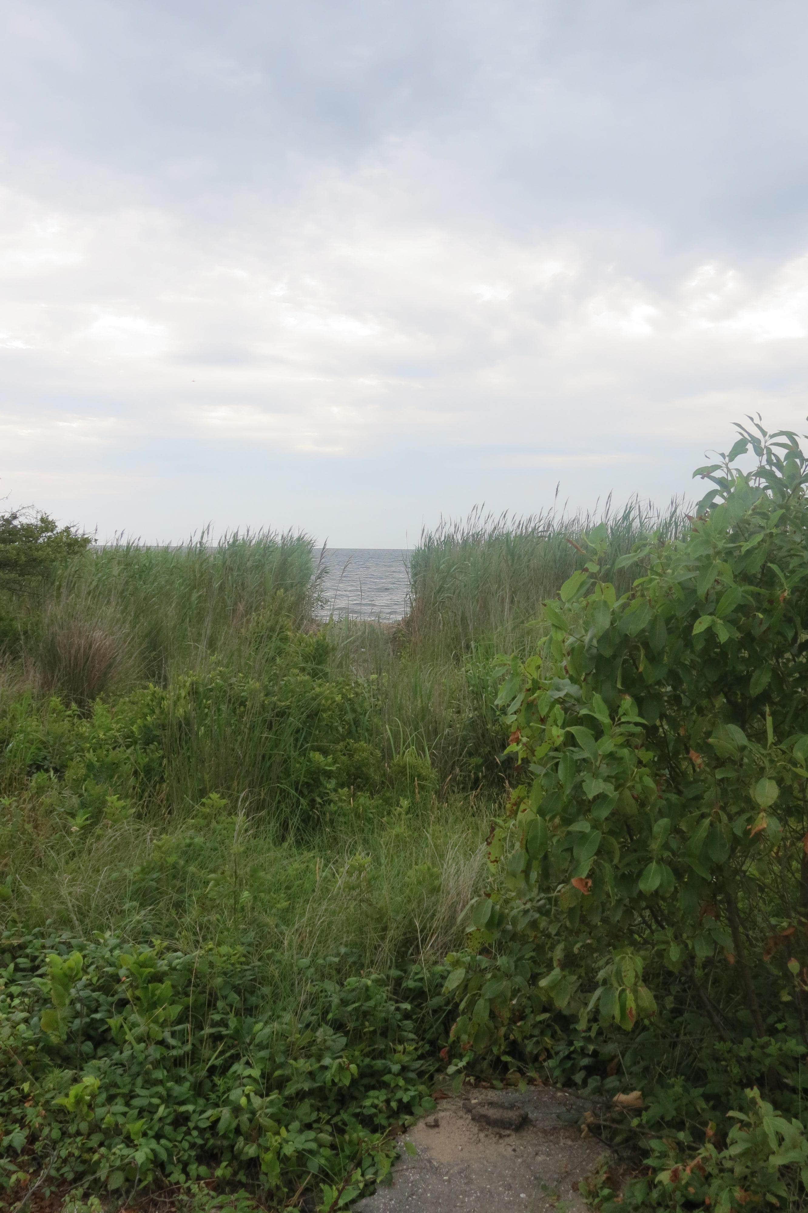 Review of Heckscher State Park The Dyrt