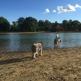 Review photo of Silver Springs Campground by Molly G., September 19, 2016