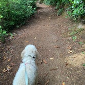 Review photo of Umpqua Lighthouse State Park Campground by Alicia and Cory S., July 16, 2019