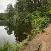 Review photo of Umpqua Lighthouse State Park Campground by Alicia and Cory S., July 16, 2019