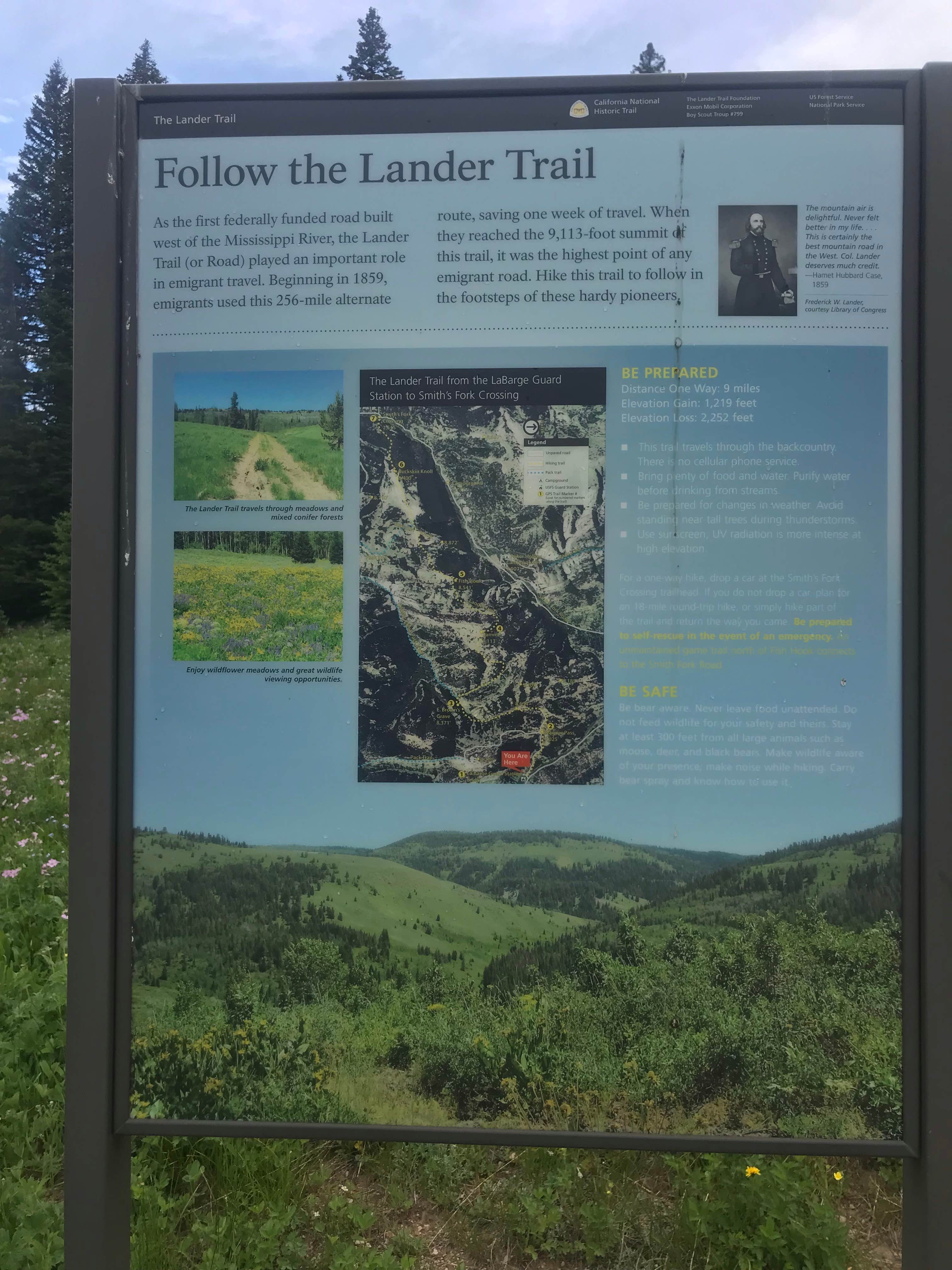 Signs & Maps