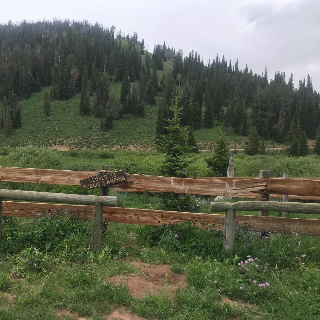 La Barge Guard Station Camping Kemmerer, WY