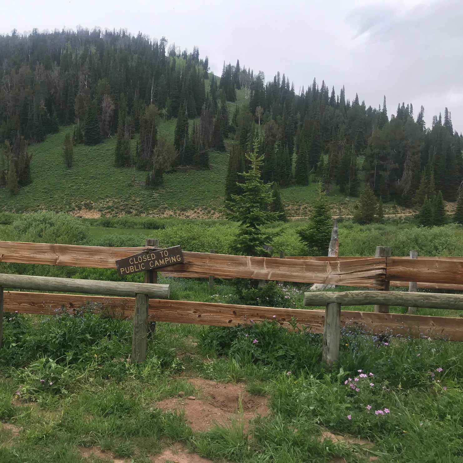 La Barge Guard Station Camping Kemmerer, WY