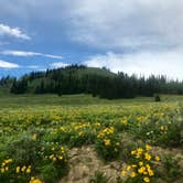 Review photo of La Barge Guard Station by Carrie C., July 16, 2019