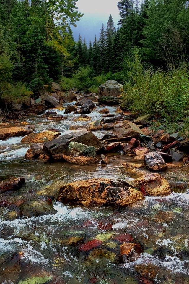 Camper-submitted photo at Cracker Lake Wilderness Campsite — Glacier National Park near Babb, MT
