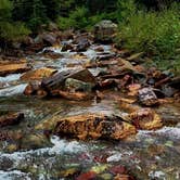 Review photo of Cracker Lake Wilderness Campsite — Glacier National Park by Carla S., September 19, 2016