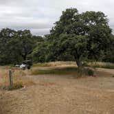 Review photo of Coe Ranch Campground — Henry W. Coe State Park by Andre V., July 16, 2019