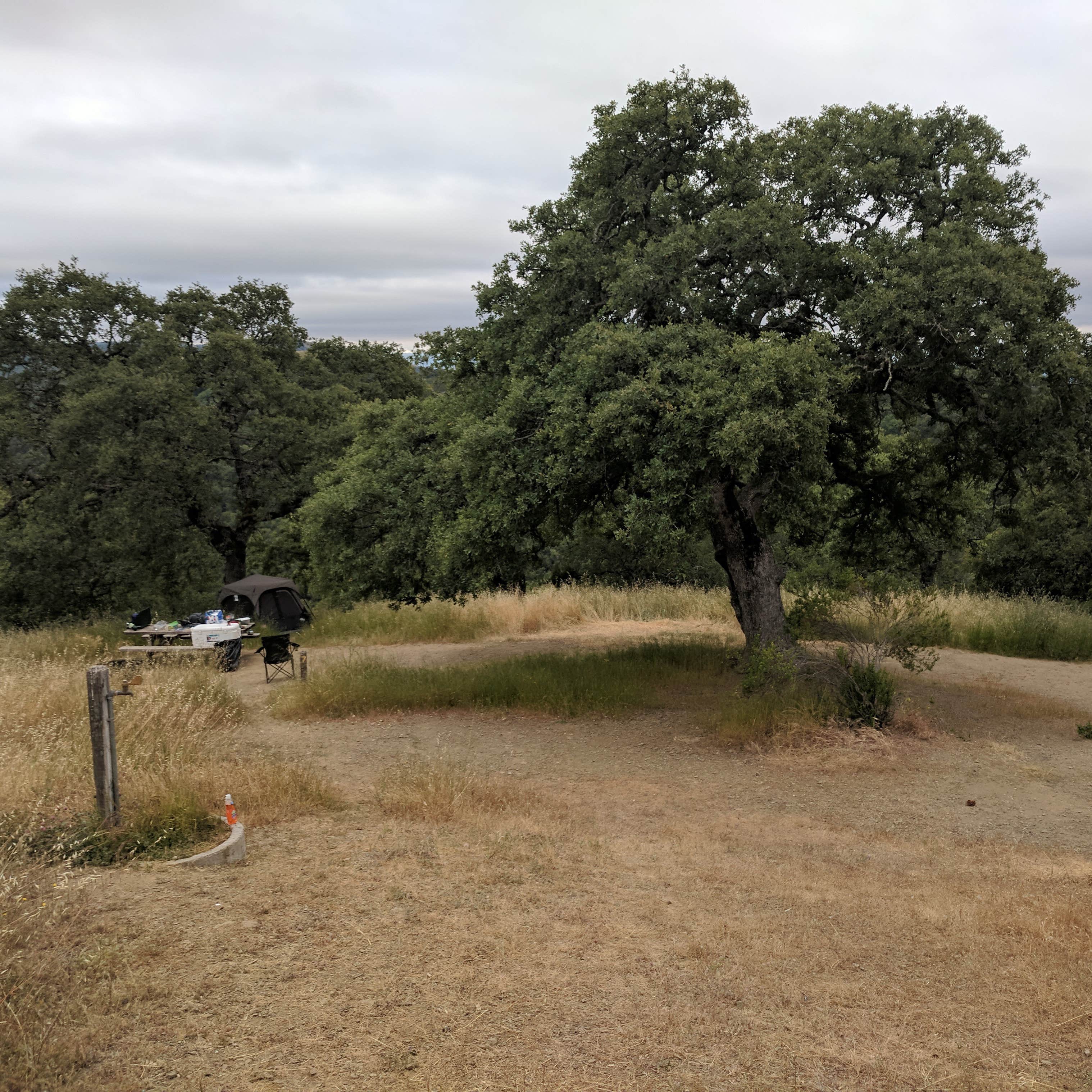 Henry Coe State Park | The Dyrt