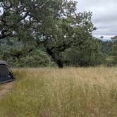 Review photo of Henry Coe State Park by Andre V., July 16, 2019