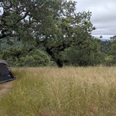 Review photo of Coe Ranch Campground — Henry W. Coe State Park by Andre V., July 16, 2019