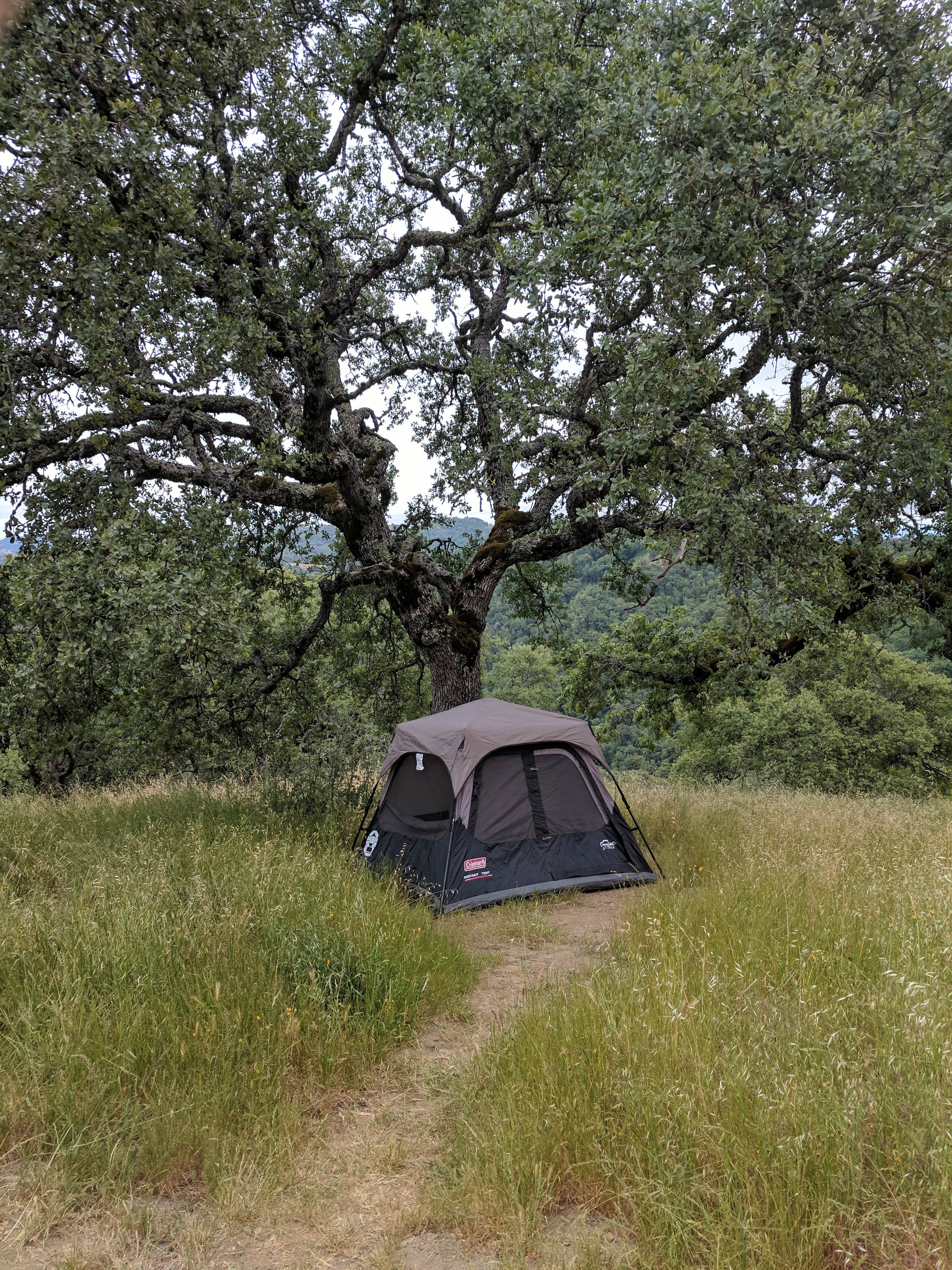 Andre V.'s photo at Coe Ranch Campground — Henry W. Coe State Park near Vernalis, CA