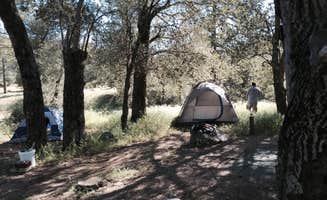 Andre V.'s photo at Green Valley Campground — Cuyamaca Rancho State Park near Alpine, CA