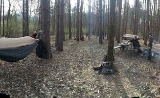 Elisha P.'s photo at Siloam Springs State Park Campground near Louisiana, MO