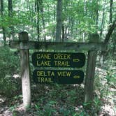 Review photo of Cane Creek State Park Campground by Lacee G., July 16, 2019