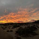Review photo of Jumbo Rocks Campground — Joshua Tree National Park by Andre V., July 16, 2019