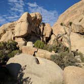 Review photo of Jumbo Rocks Campground — Joshua Tree National Park by Andre V., July 16, 2019