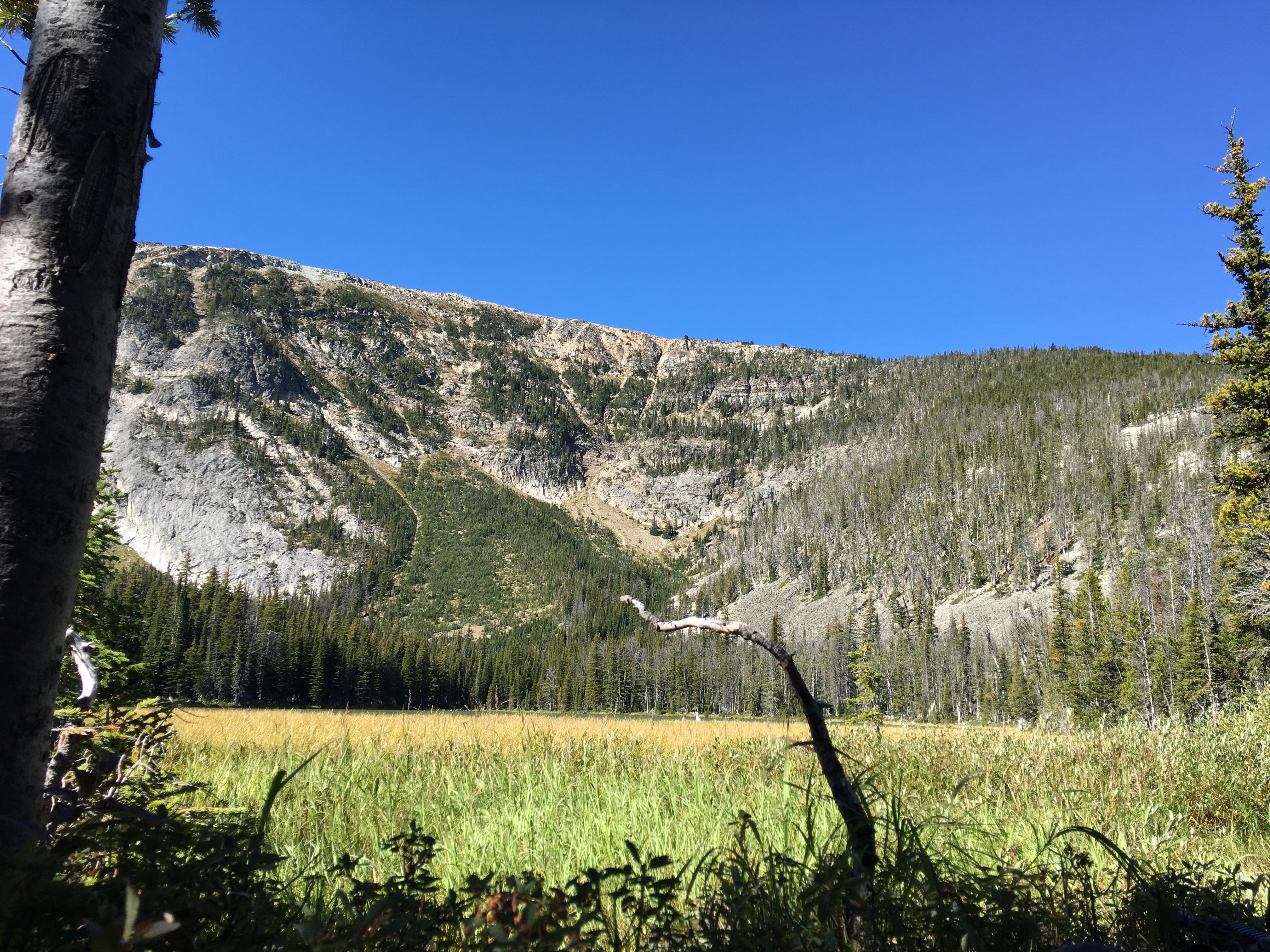 Camper submitted image from Gipsy Lake - 1