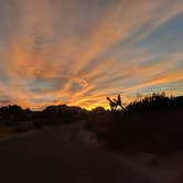 Review photo of Jumbo Rocks Campground — Joshua Tree National Park by Andre V., July 16, 2019