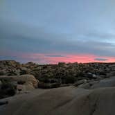 Review photo of Jumbo Rocks Campground — Joshua Tree National Park by Andre V., July 16, 2019
