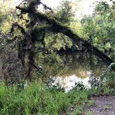 Review photo of Koreshan State Park Campground by Fitz Edward O., July 16, 2019
