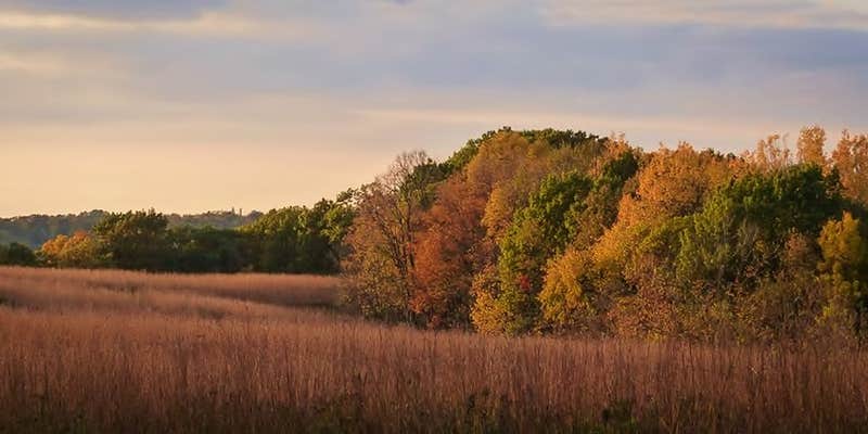 Camper submitted image from Prairie View Camping