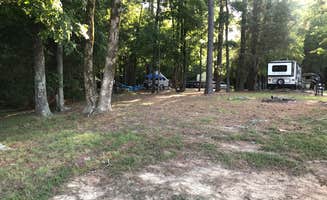 Shana D.'s photo at Hernando Point near Marion, AR
