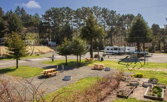 The Dyrt's photo at Camp Trinidad RV Resort near McKinleyville, CA